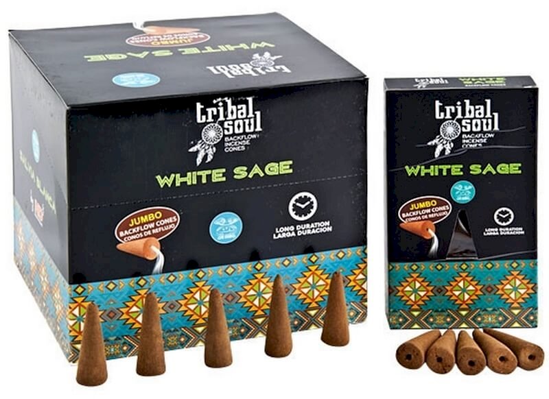 Backflow Cônes XL Tribal Soul Sauge Blanche 12pcs