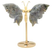 Papillon Labradorite sur socle 14cm