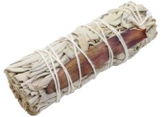 Sauge Blanche 'Dream Sage' Fagot 25g 10cm