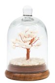 Arbre du Bonheur Jade Blanche sous cloche 12cm