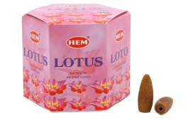 Backflow Cônes HEM Lotus 12pcs