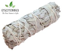 Sauge Blanche Apiana Californie Fagot 11cm 25-35g