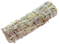 Sauge Verte Fagot 10cm