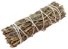 Fagot Sauge Shasta 25g 11cm